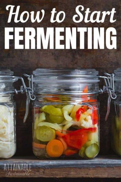 Fermented Foods Recipes To Get You Started