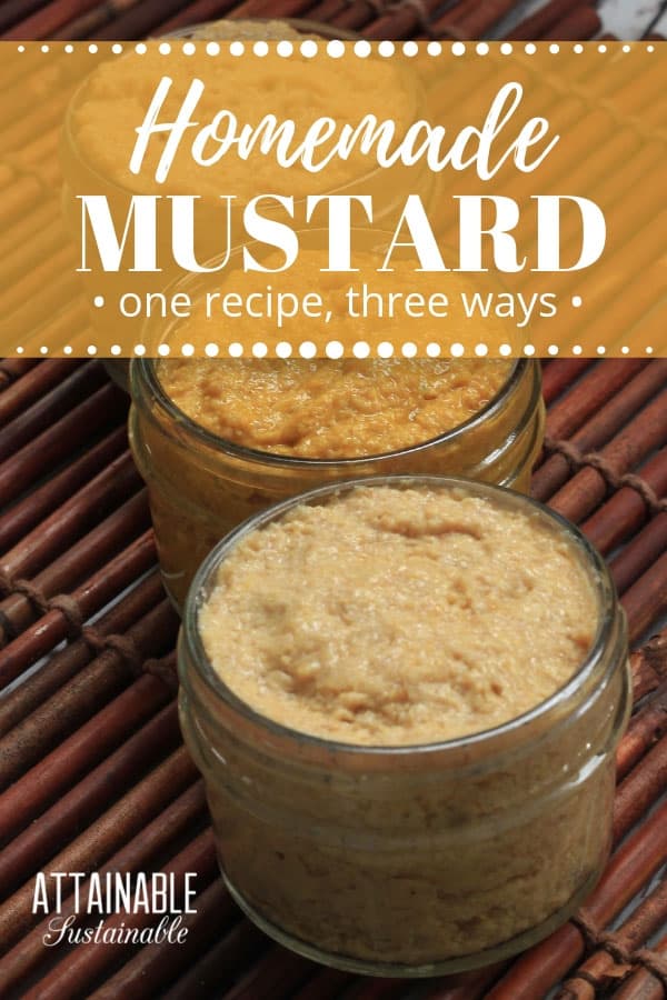 Gourmet Homemade Mustard Recipe - Attainable Sustainable