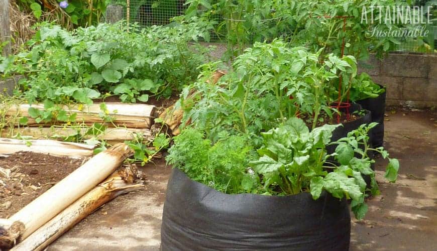 Hdpe RoundRectangular Organic Kitchen Garden Grow Bag