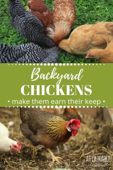 9 Ways To Use Chickens In The Garden - Attainable Sustainable