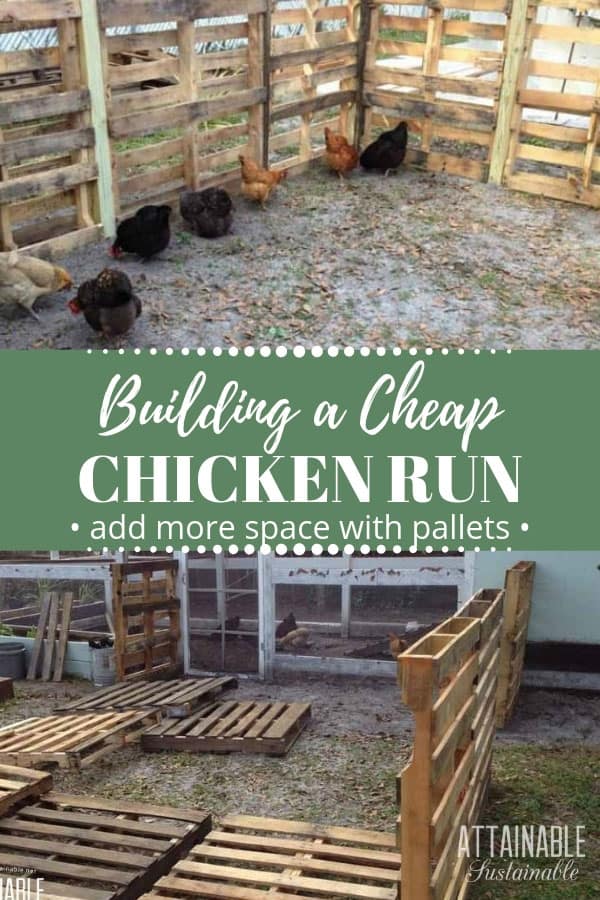 Pallet Chicken Run: Diy Pallet Fence Extension For The Flock (with Pics)