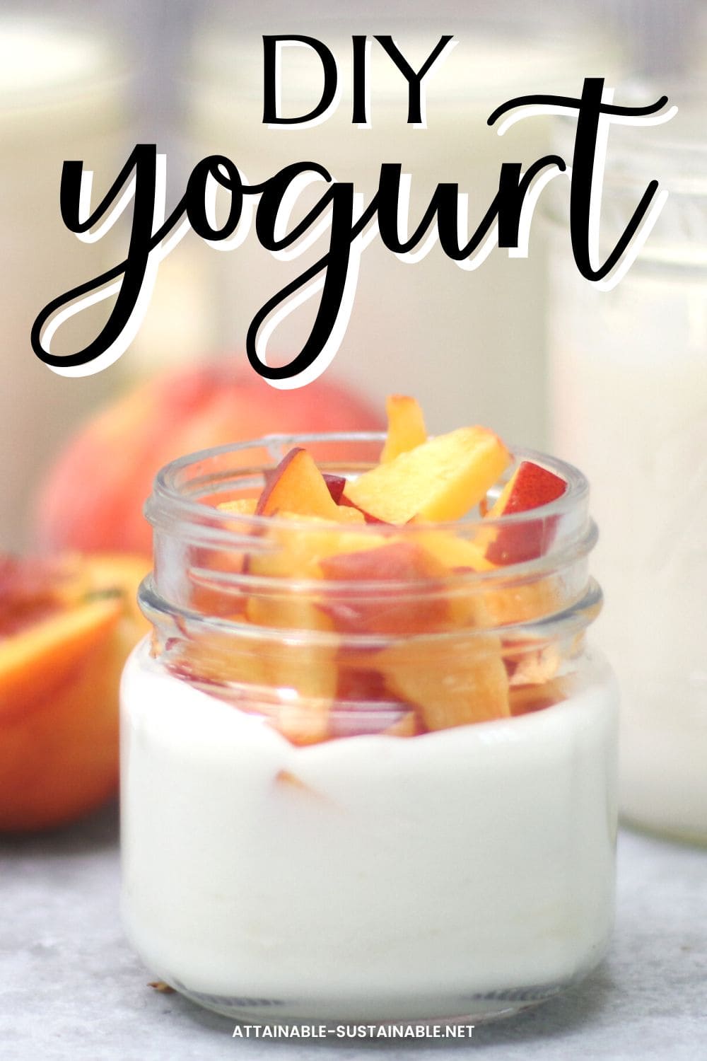 The Sustainable Culture of Yogurt Jars