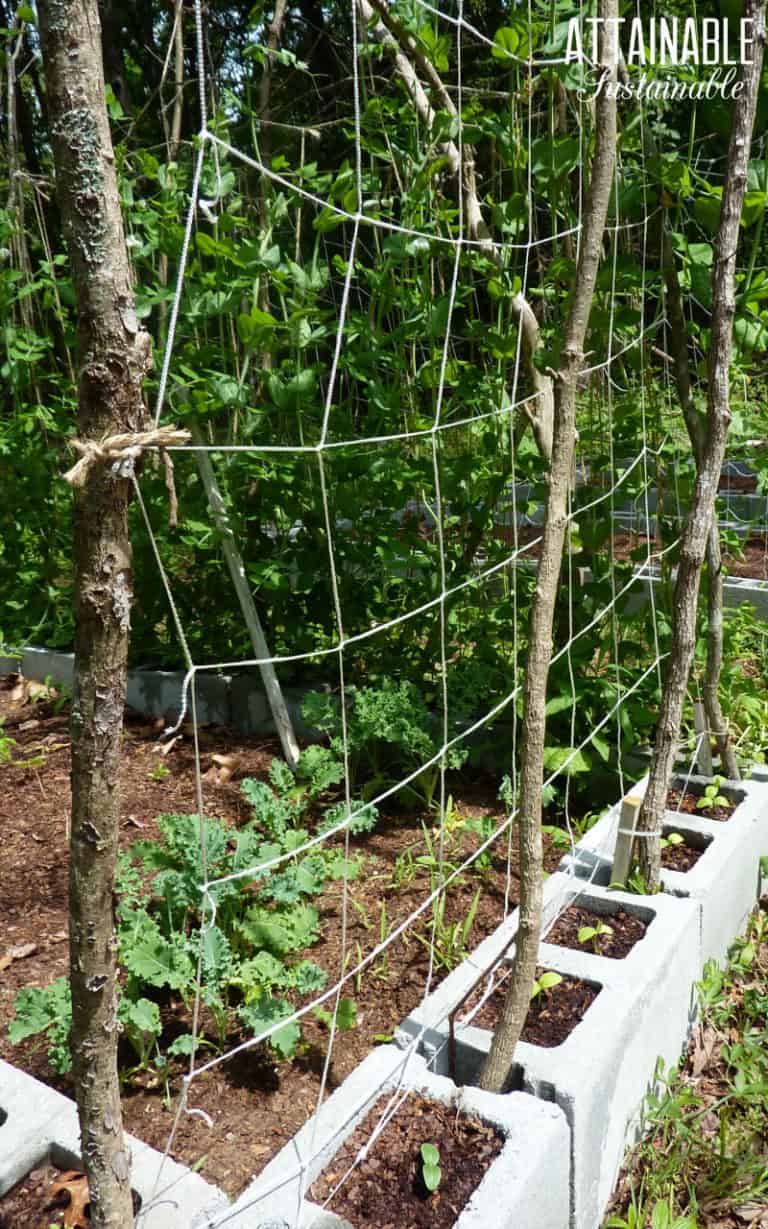 These Easy DIY Trellis Ideas Will Get Your Garden Growing UP!