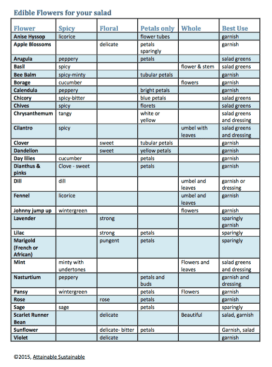 Adding Edible Flowers to Your Salads (and Garden)