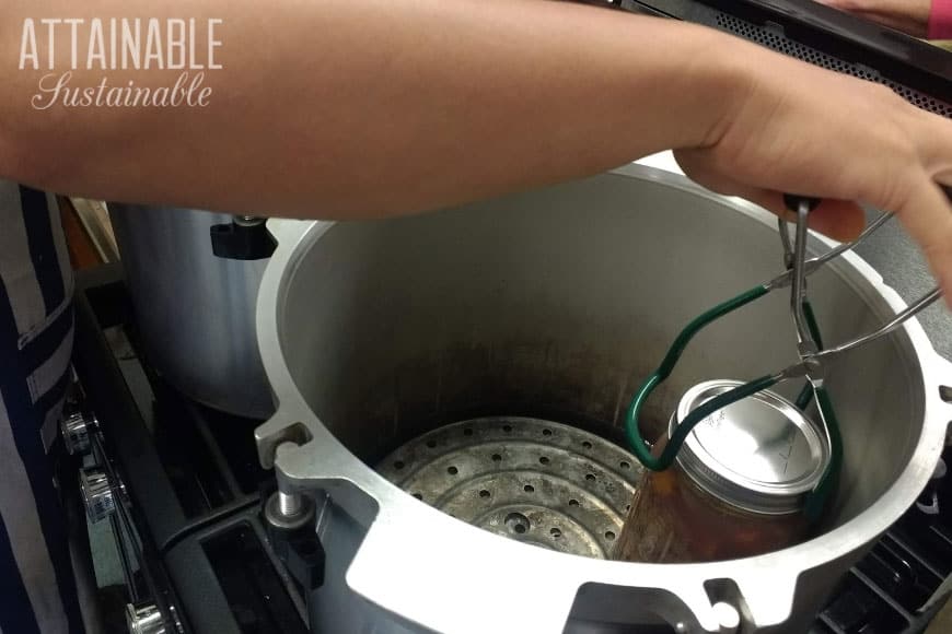 Can I Pressure Can in the Instant Pot? — Homesteading Family