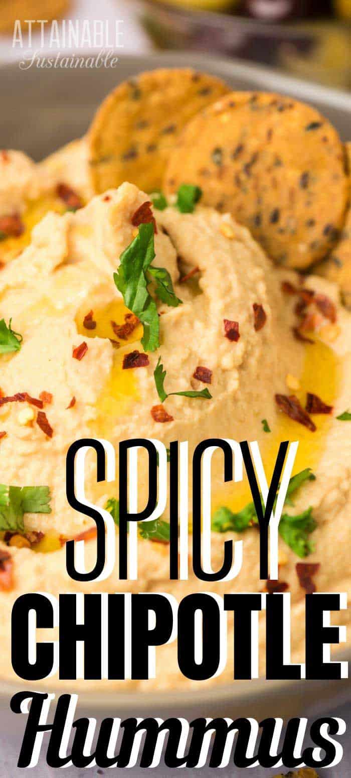 Deliciously Spicy Hummus Recipe