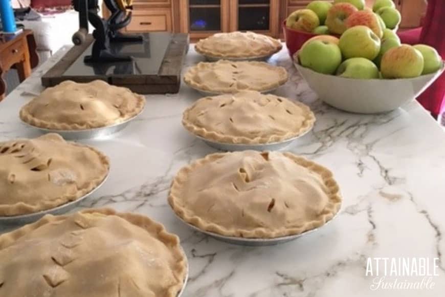 Grandma S Apple Pie Recipe From Scratch Attainable Sustainable