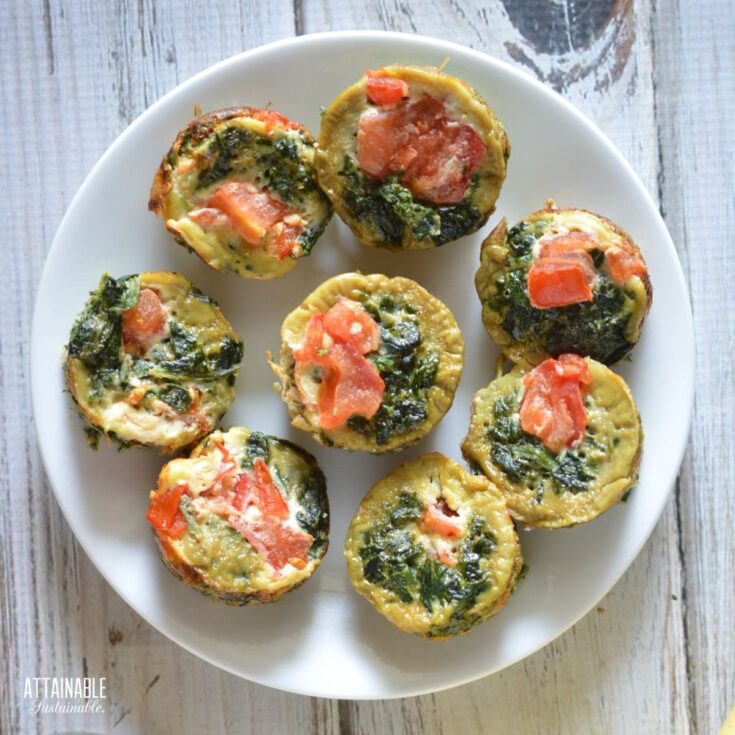 Egg Bites: One Recipe, Endless Flavors for a Fast Breakfast