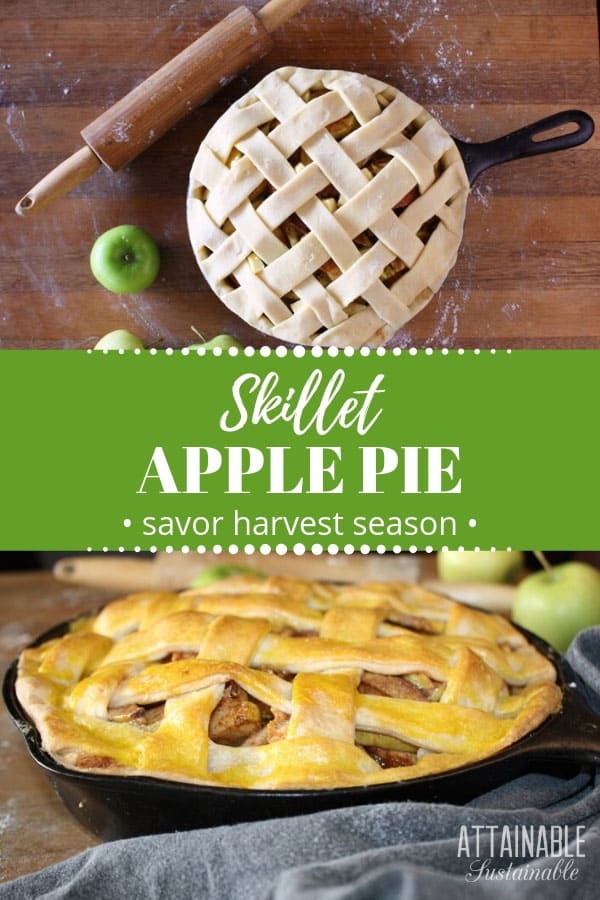 Cast Iron Apple Pie Recipe