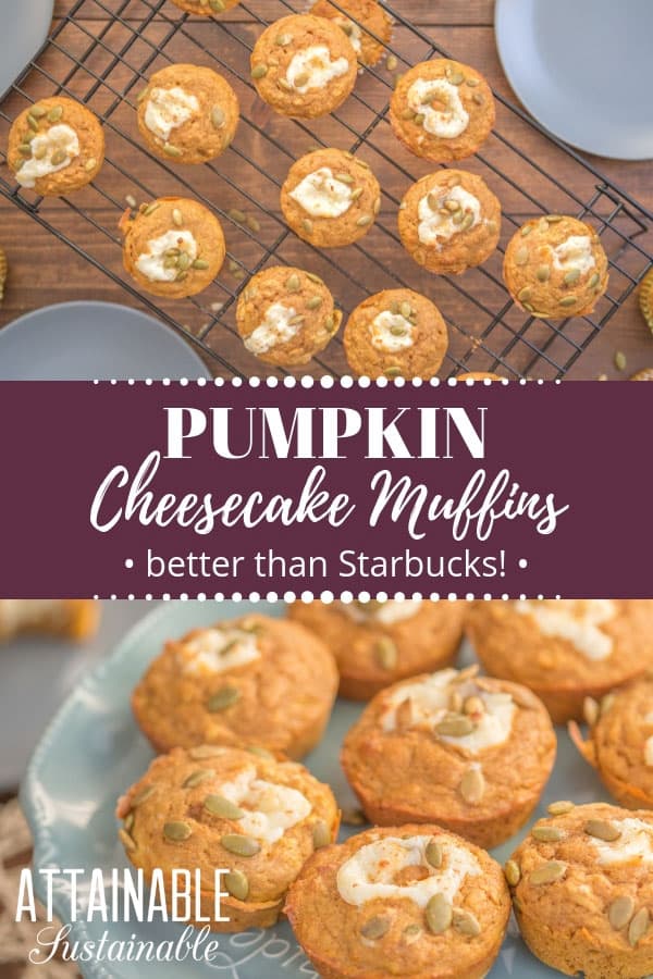 Pumpkin Cheesecake Muffins Attainable Sustainable   Pumpkin Muffins 