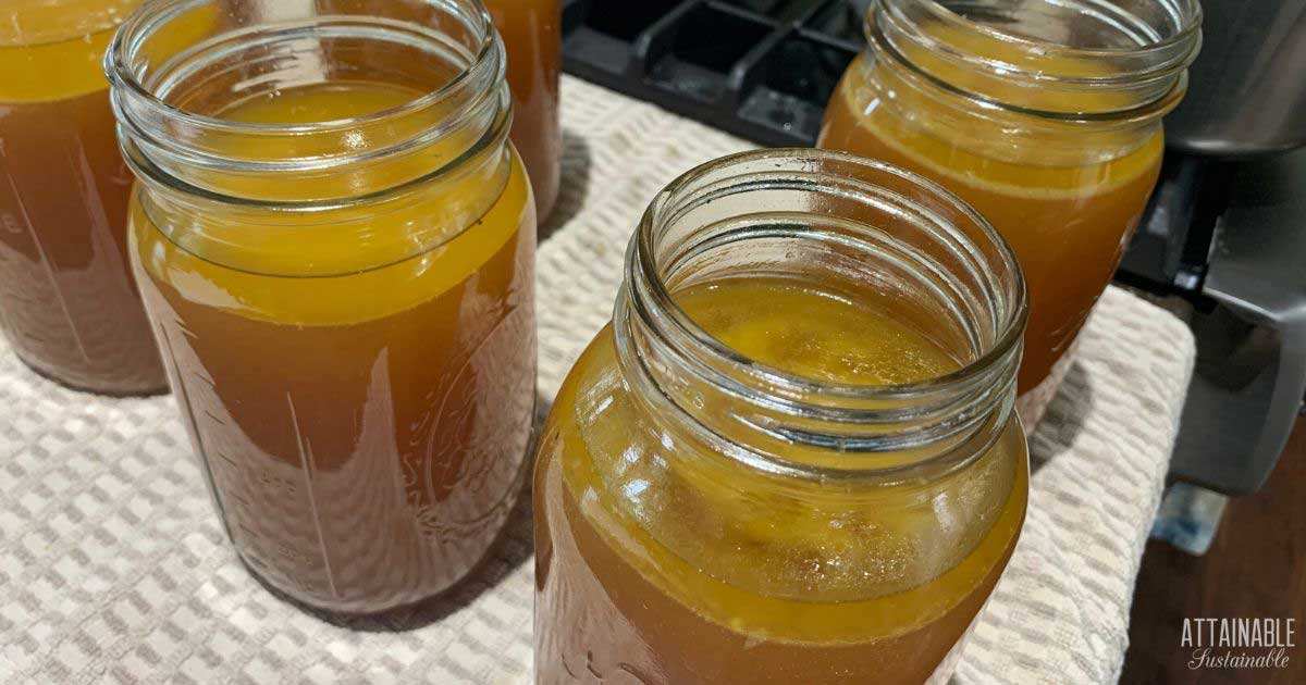 How to Pressure Can Turkey Stock – Food in Jars