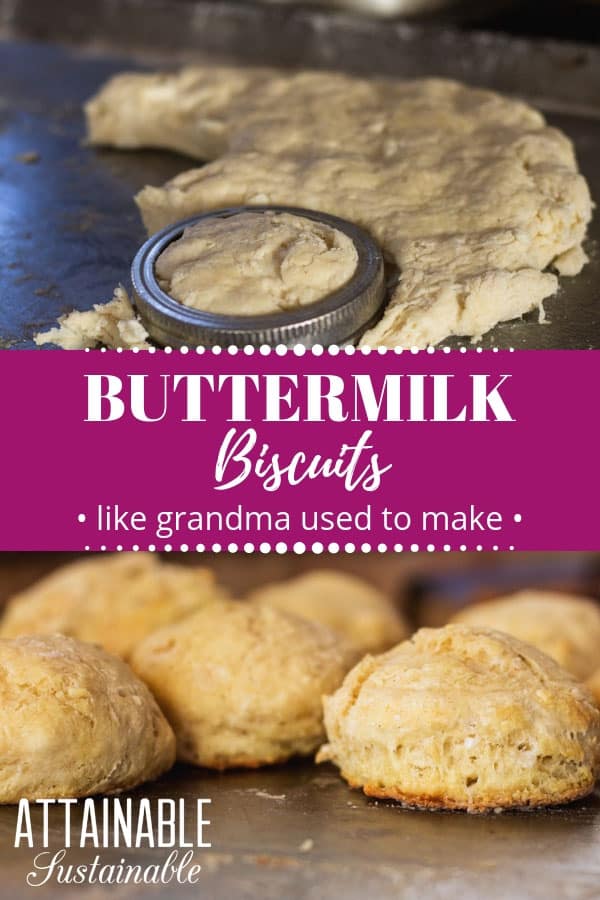 Homemade Buttermilk Biscuits How To Make Biscuits From Scratch