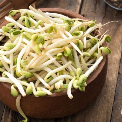 How To Grow Bean Sprouts At Home For Pennies In Just A Week