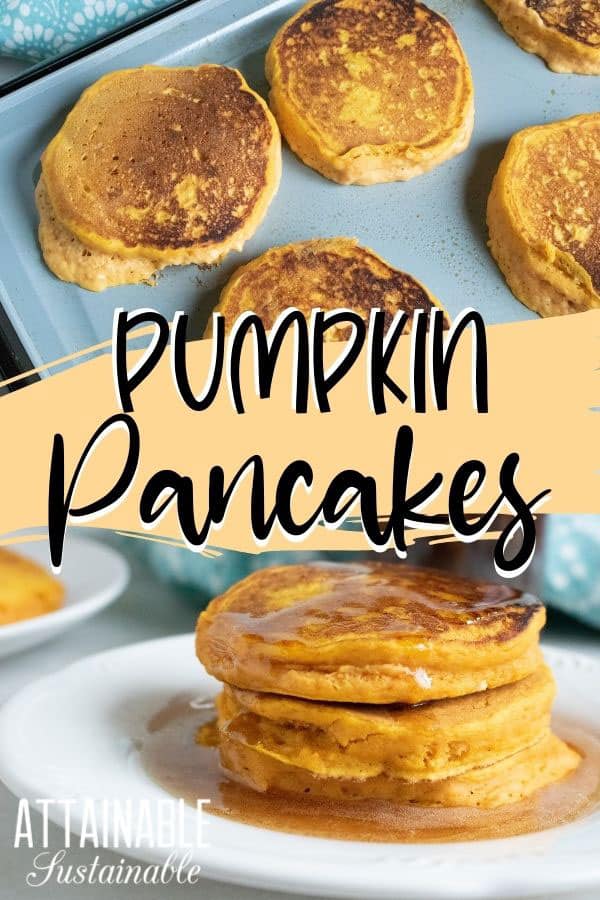 Easy Pumpkin Pancakes for Breakfast - Attainable Sustainable®
