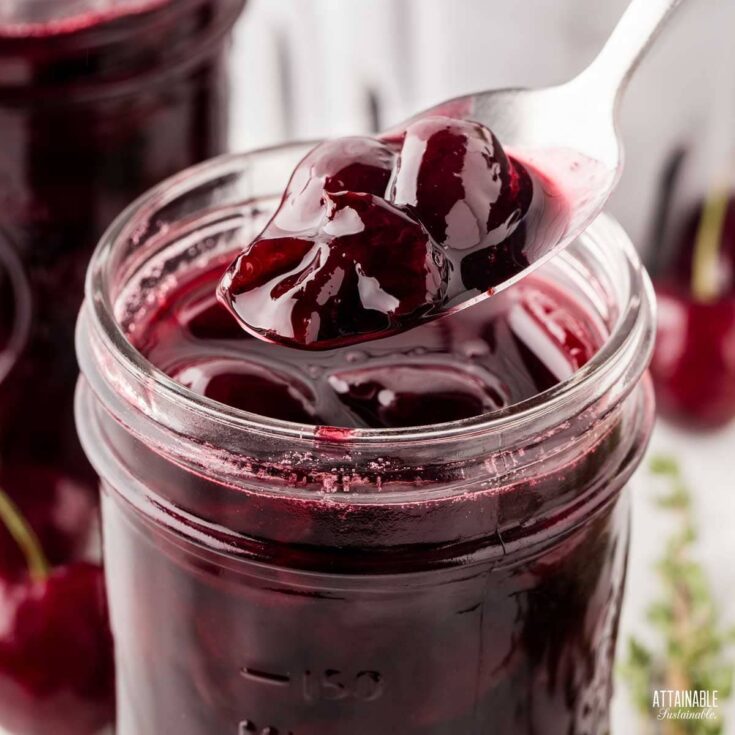 Best Homemade Cherry Jam Recipe Easy Guide 2023 Atonce