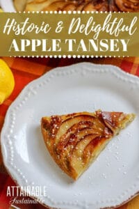 Apple Tansey: A Colonial Dessert - Attainable Sustainable®