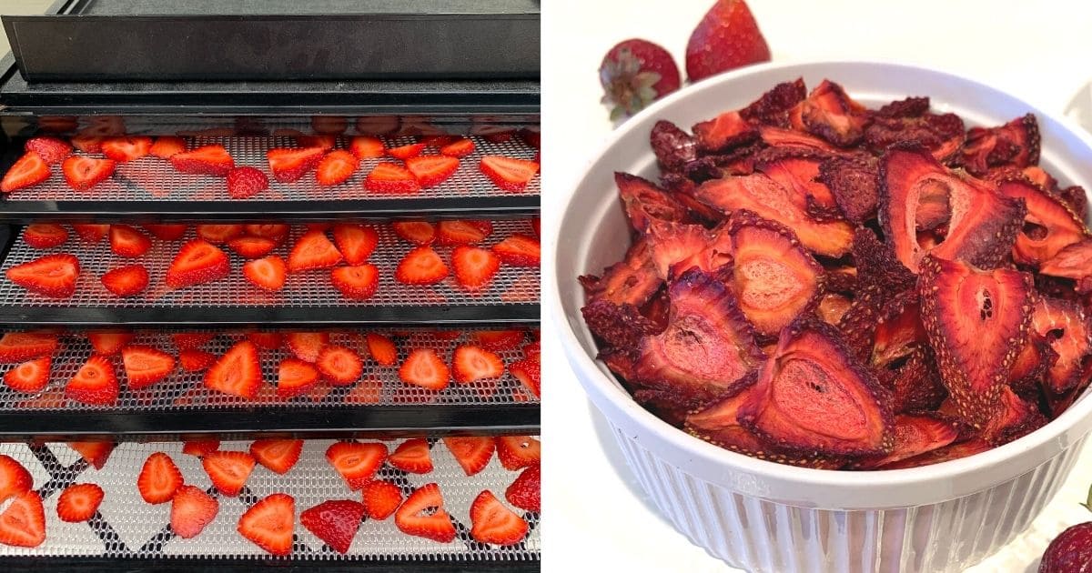 Air Fryer Dehydrated Strawberries - Two Cloves Kitchen