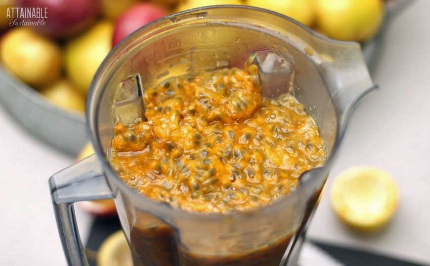passion fruit pulp in a blender