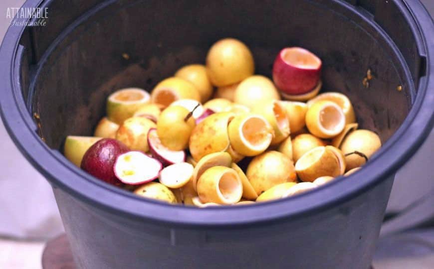 passion fruit shells in a black bucket
