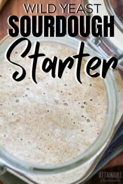 Sourdough Starter Recipe Without Yeast: Make Your Own Bread