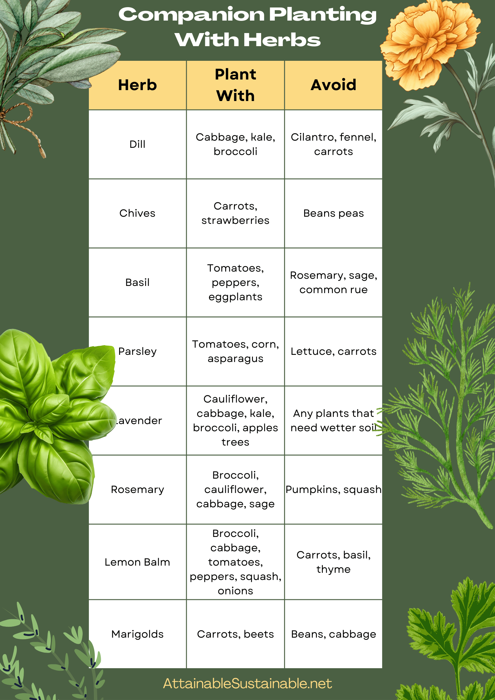 green background with green and yellow plants and chart for companion planting