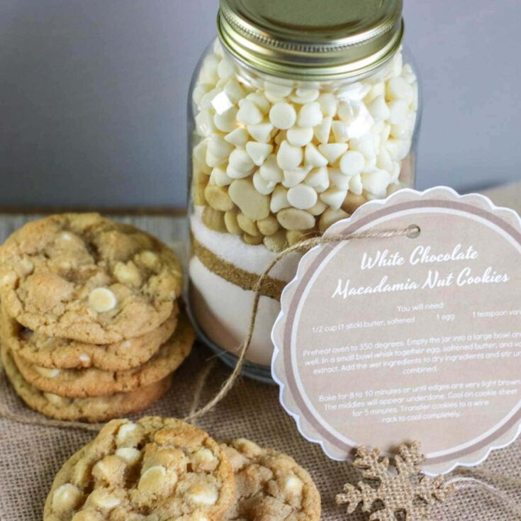 Mini White Chocolate Macadamia Soft Baked Travel Size Cookie Jar – Cat's  Cookies