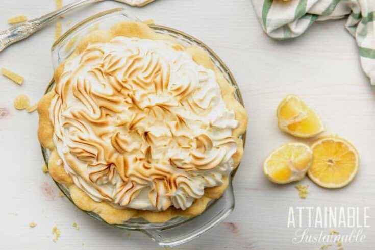 Mountain High Homemade Lemon Meringue Pie Recipe (video) - Tatyanas  Everyday Food