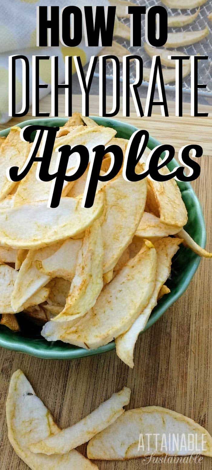 Dehydrated Apples For Snacks & Food Preservation