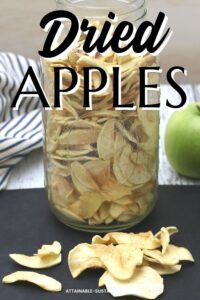 Dehydrated Apples for Snacks & Food Preservation