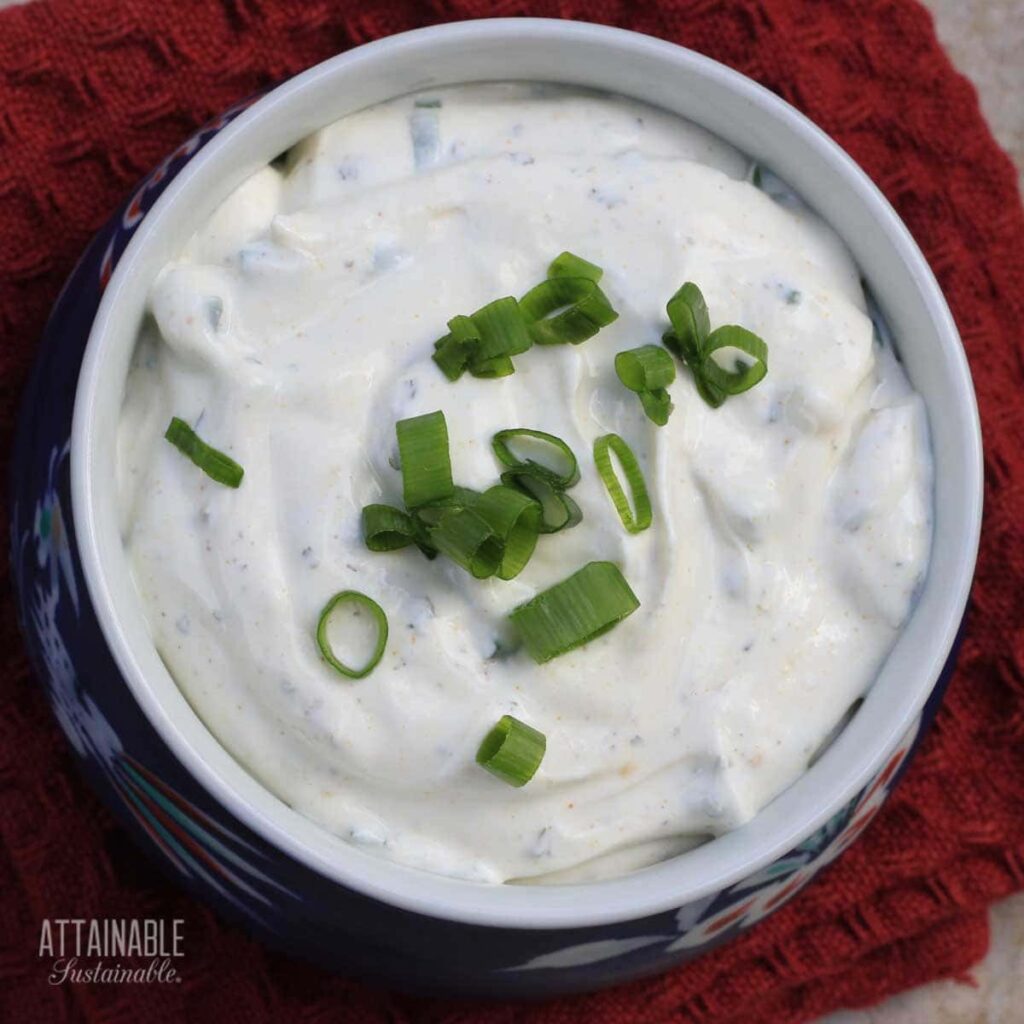 Green Onion Dip Recipe Make it for Your Next Bash