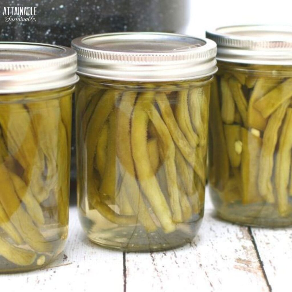 Easy Pickled Green Beans for the Pantry (Canning Recipe) - Attainable ...