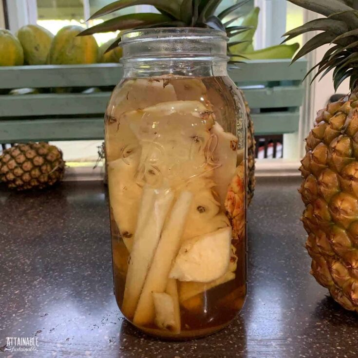 Pineapple Fruit Mason Jar