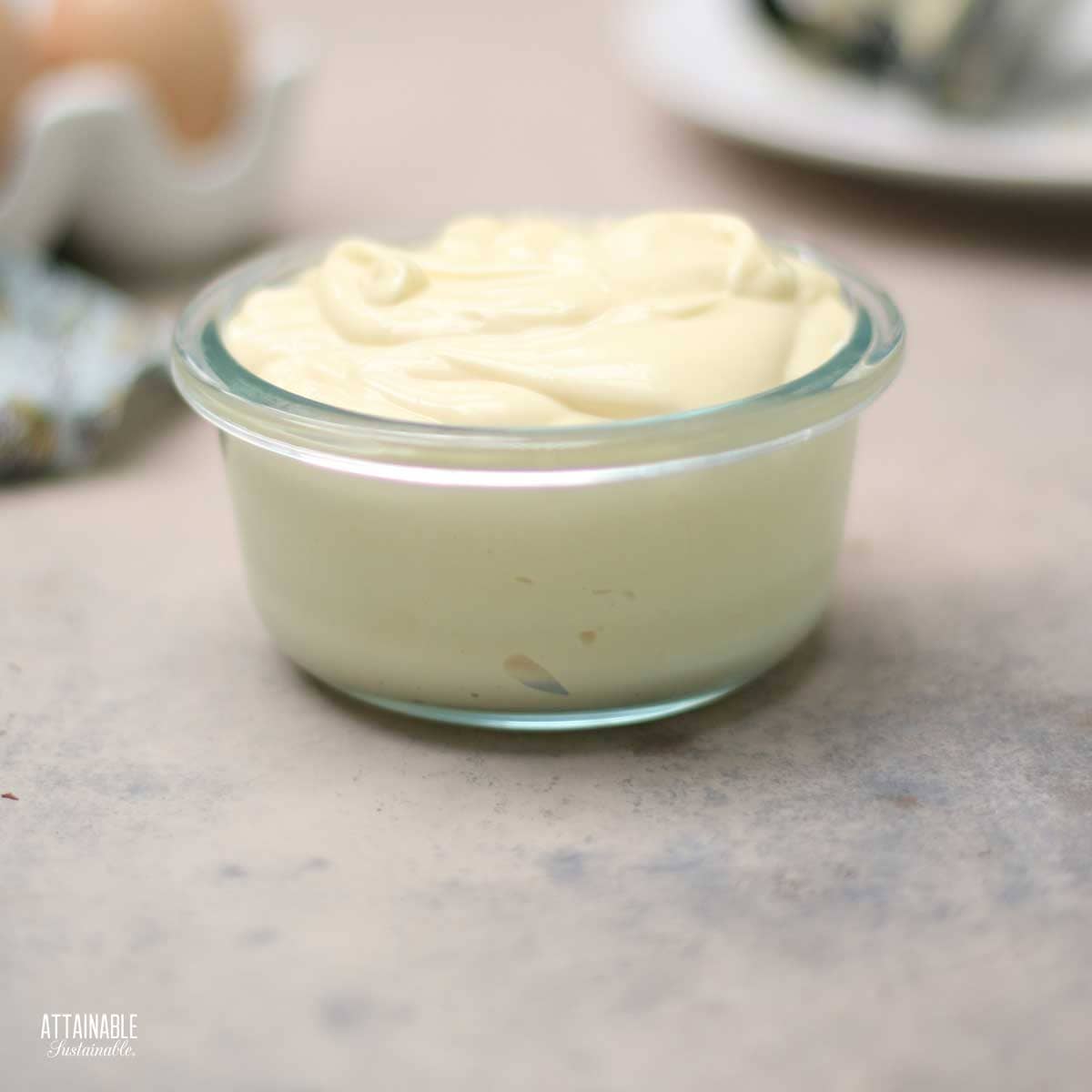 Easy home made Mayonnaise recipe Drizzle and Dip