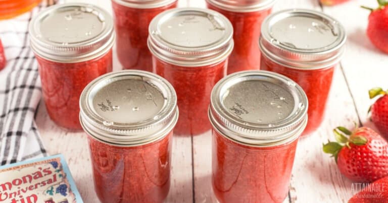 Canning Jam And Jelly Step By Step Guide To Succes 4892