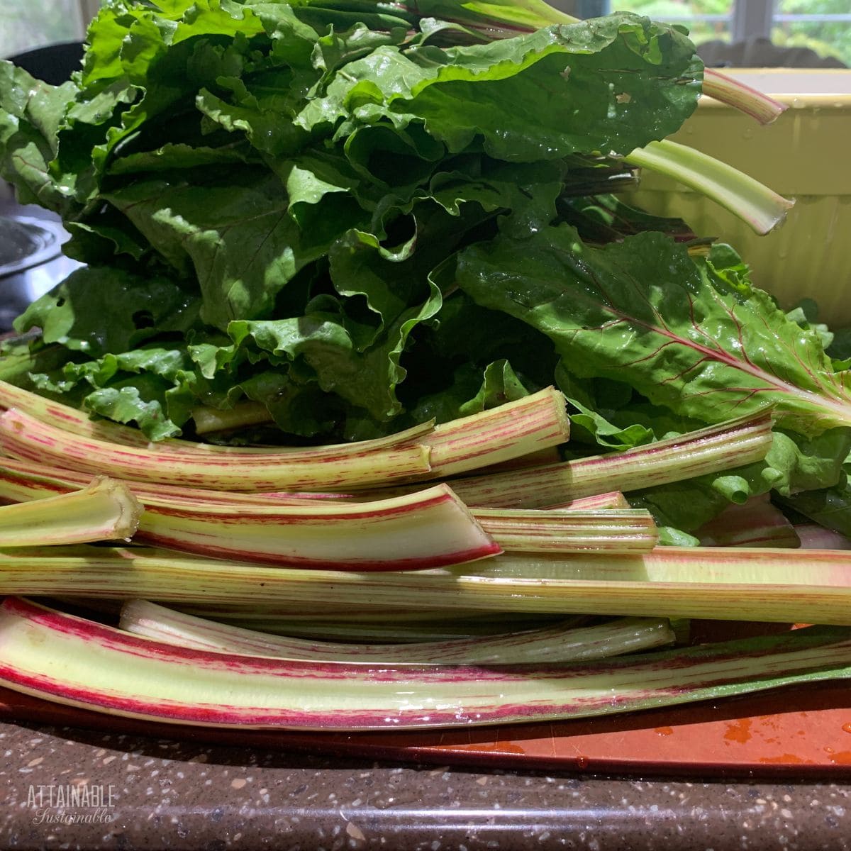 Tangy Fermented Beet Greens Attainable Sustainable 