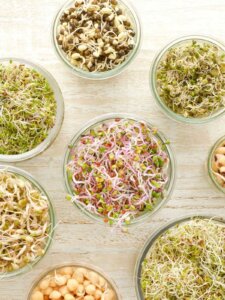 glass jars of bean sprouts