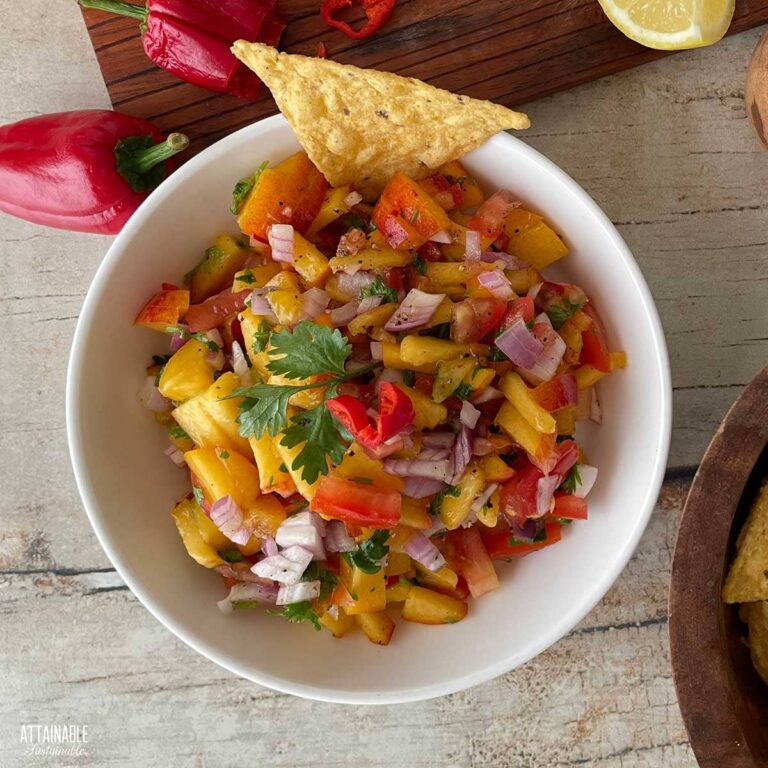 Easy & Fresh Peach Salsa Recipe - Attainable Sustainable®