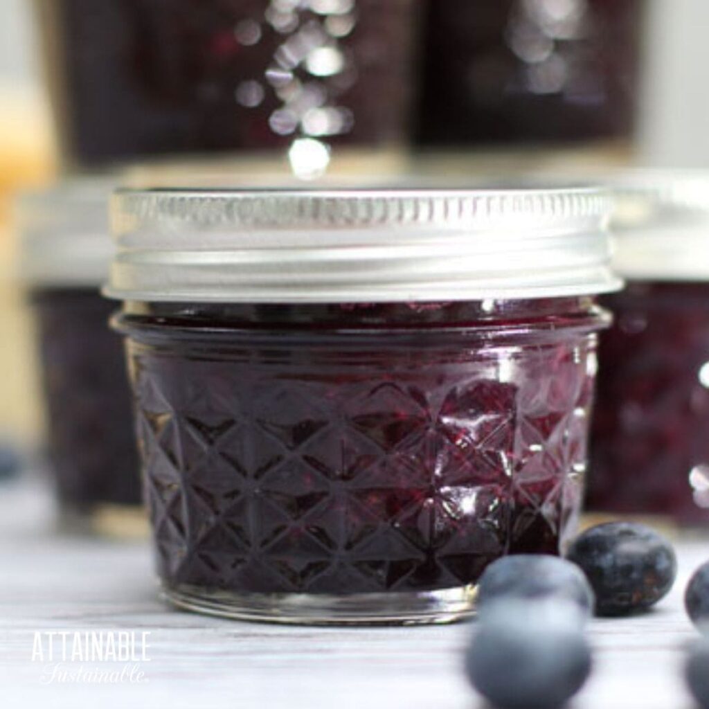 Blueberry Jam Recipe For Canning Attainable Sustainable