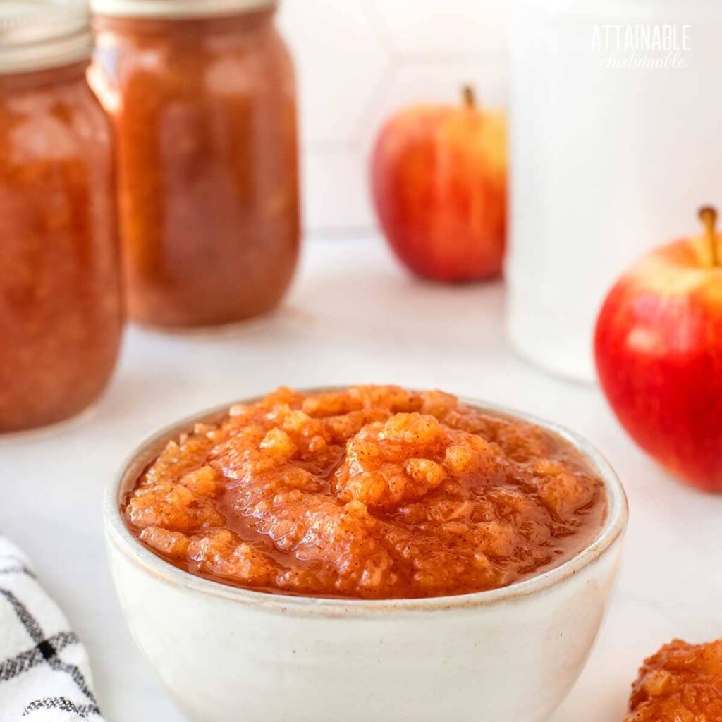 Easy Recipe For Canning Homemade Applesauce