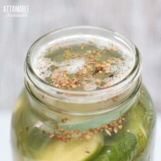 Garlic Dill Pickle Recipe - Fermented Deli-Style Cukes