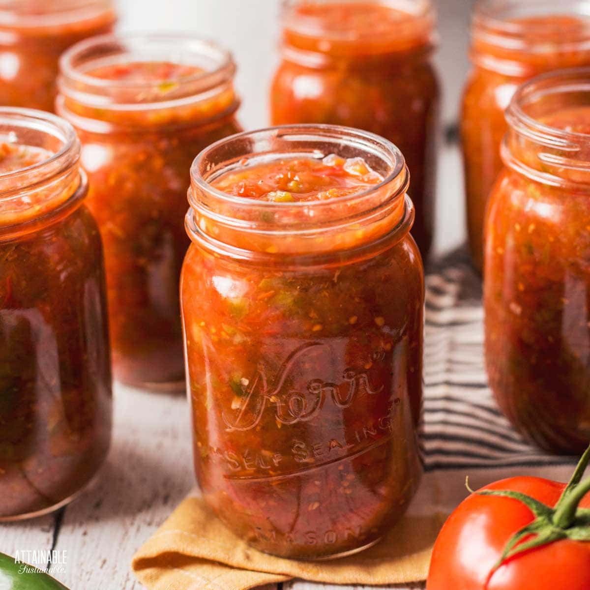 canning-salsa-the-very-best-salsa-recipe-for-canning-your-own