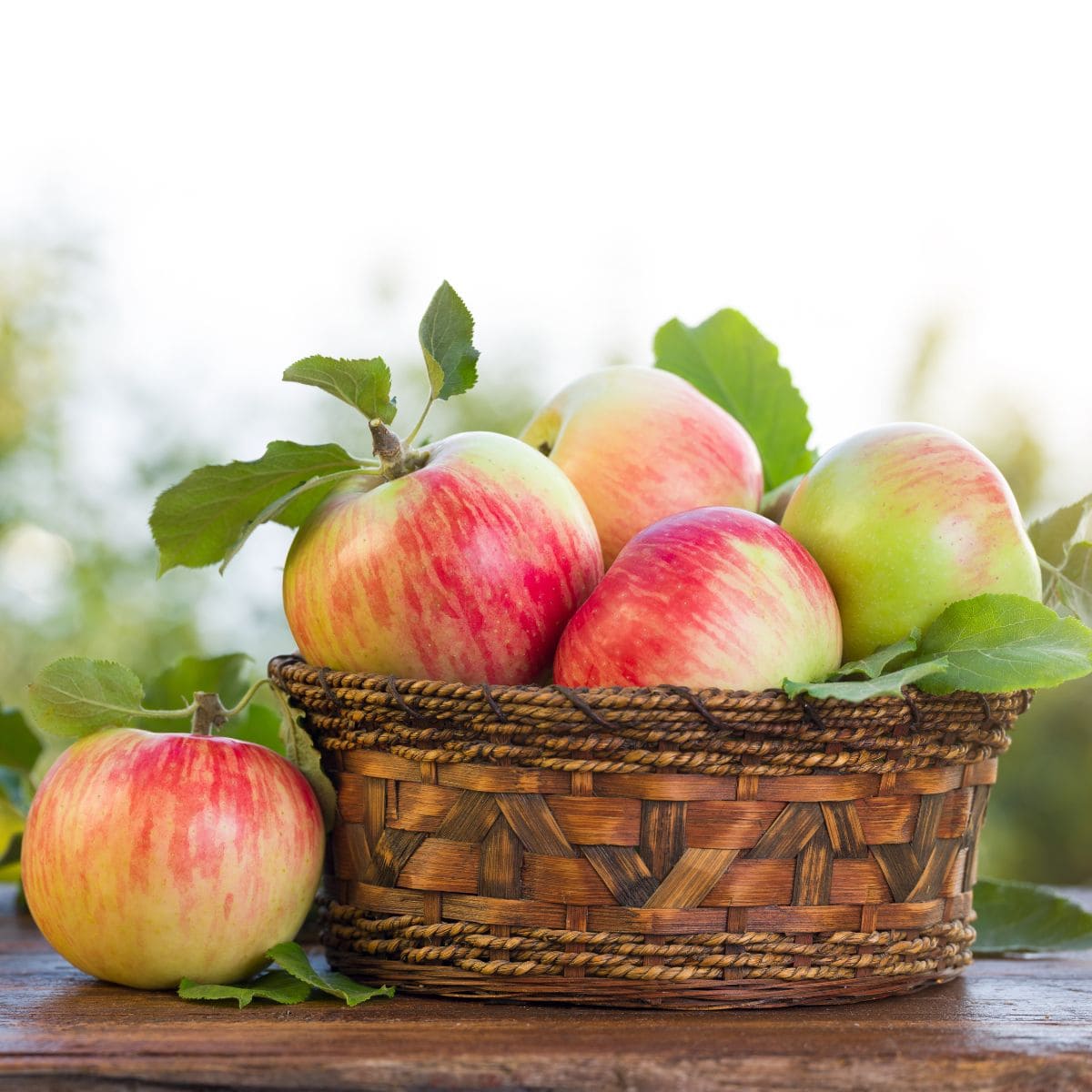 yellow and red striped apples in a dark brown basket.