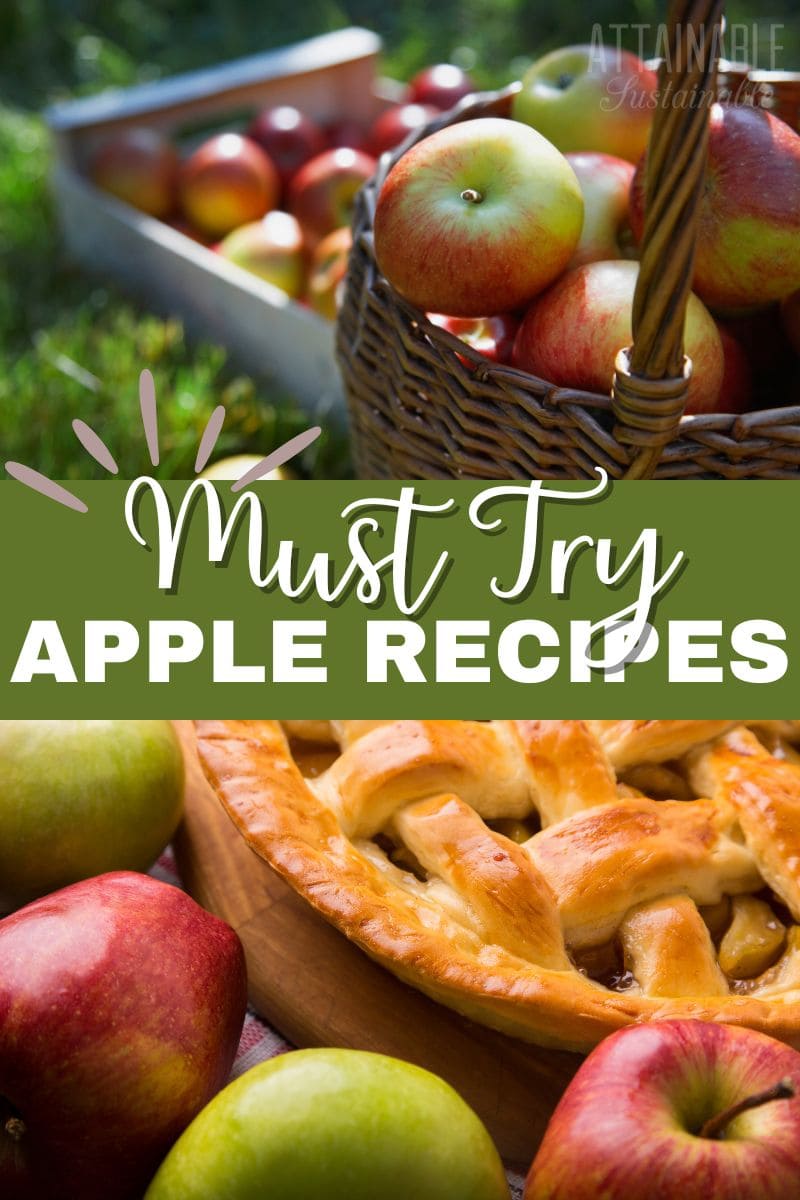 2 panels showing apples in the field and a lattice top apple pie.