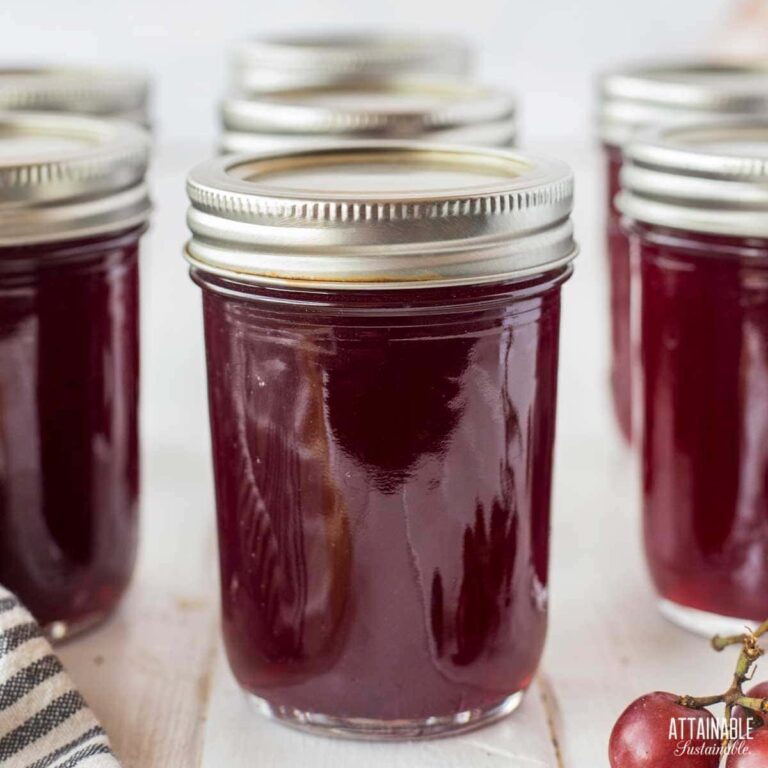 How to Make Homemade Grape Jelly (Easy Recipe for Canning)