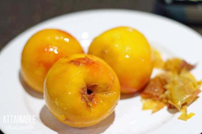 How to Peel Peaches - Sustainable Cooks