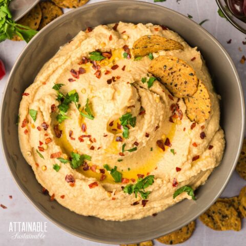 Deliciously Spicy Hummus Recipe