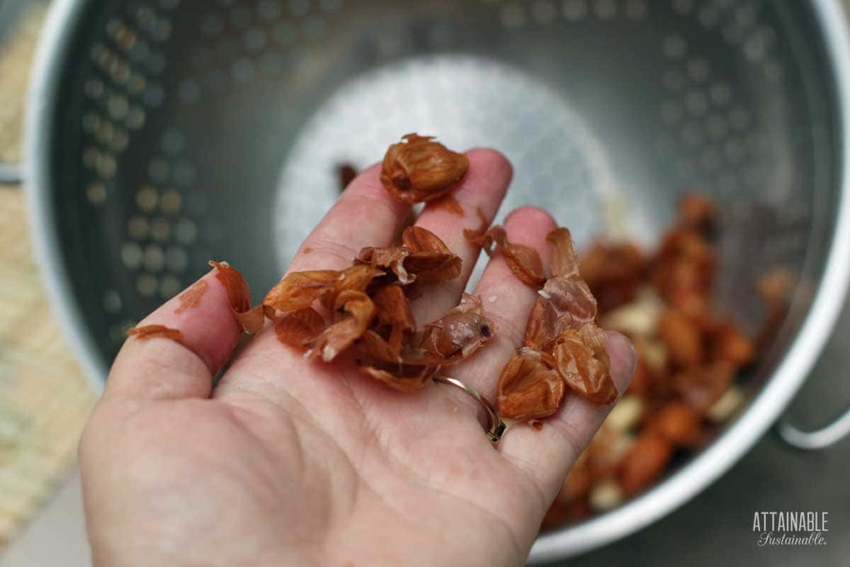 hand with almond skins.