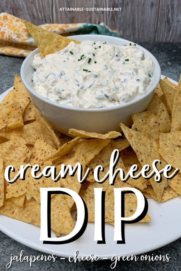 Easy Cream Cheese Dip with Green Onions - Attainable Sustainable®