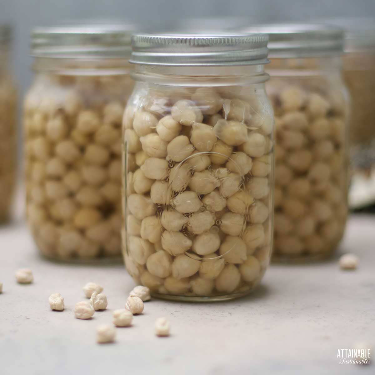 https://www.attainable-sustainable.net/wp-content/uploads/2022/08/canning-beans.jpg