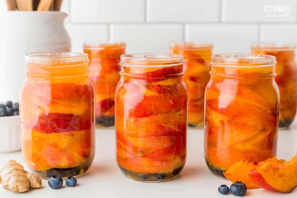 Canning Nectarines in Light Syrup Attainable Sustainable®